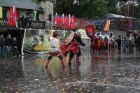 IMG_1537